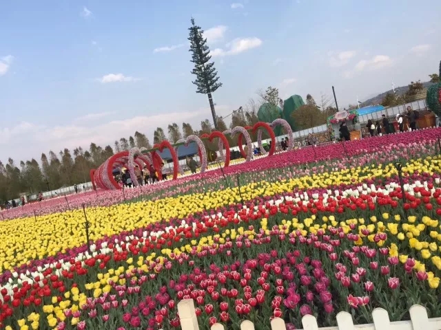 各地美丽的仿生树通讯塔
