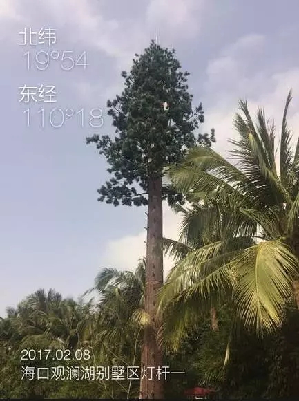 各地美丽的仿生树通讯塔