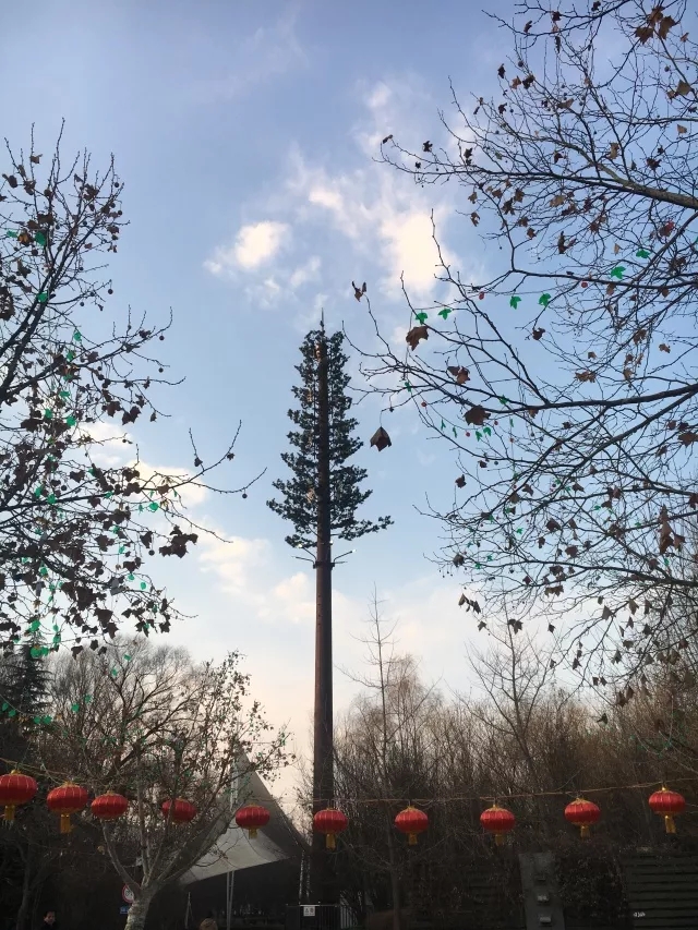 各地美丽的仿生树通讯塔